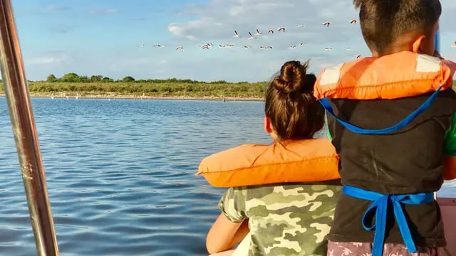 Excursiones embarcado de avistaje de aves en Miramar de Ansenuza