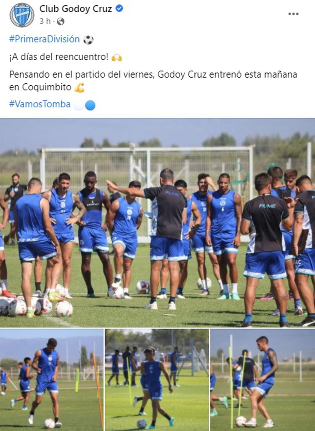 Godoy Cruz enfrenta el viernes a Tigre por la Liga Profesional de Fútbol.
