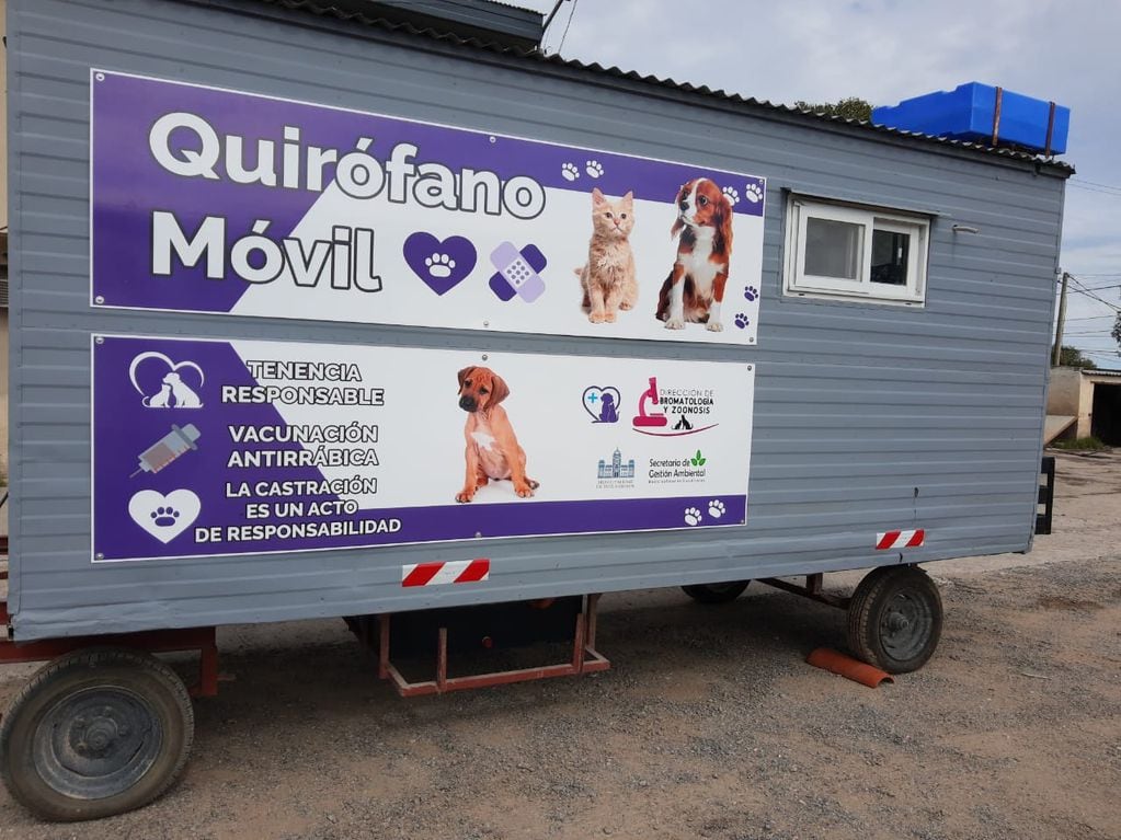 Se realizará en Tres Arroyos esterilizaciones de canes y felinos en un móvil quirúrgico