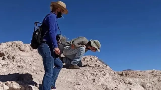fósiles en Humahuaca