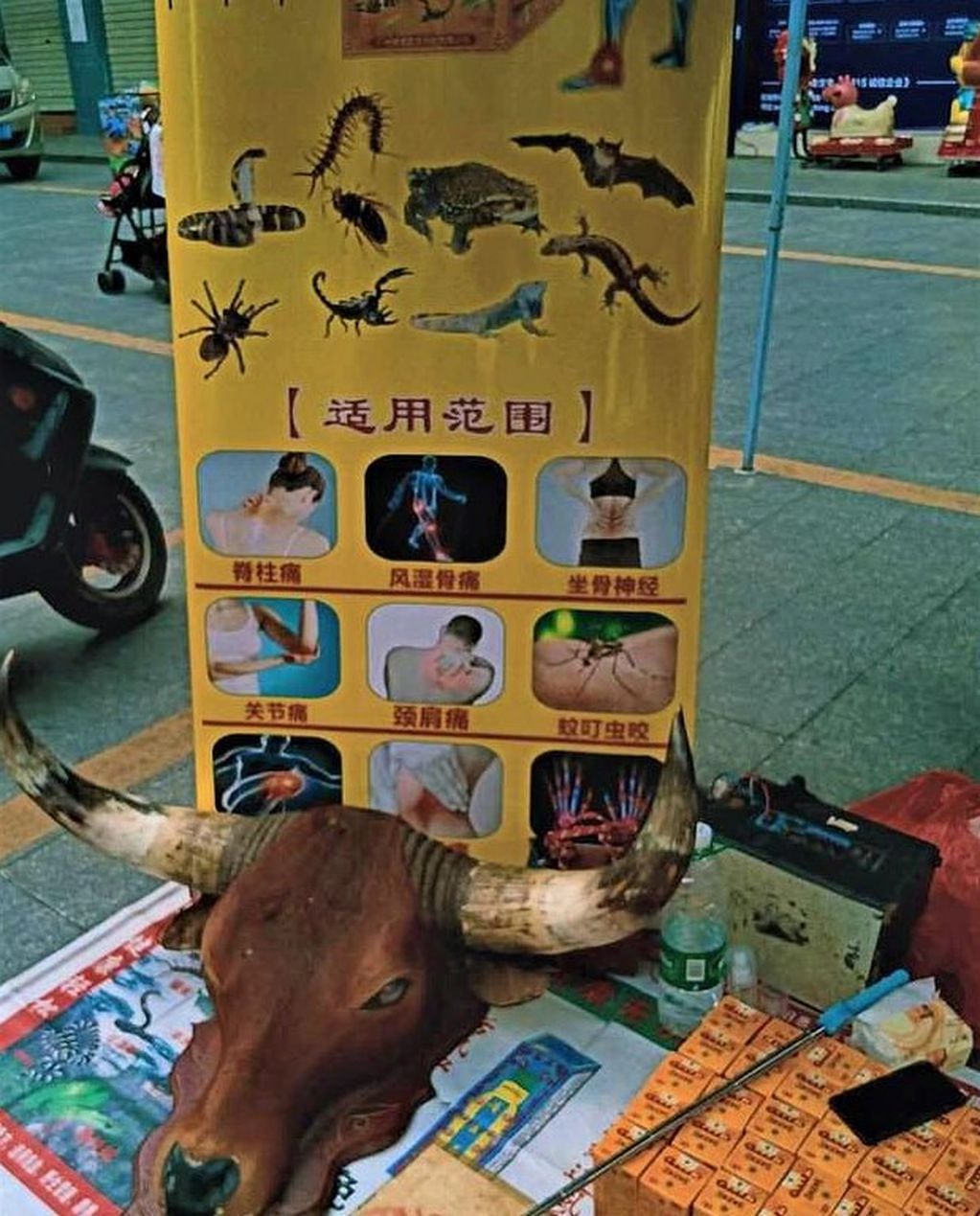 Un cartel publicita la venta de murciélagos, escorpiones y otras criaturas.