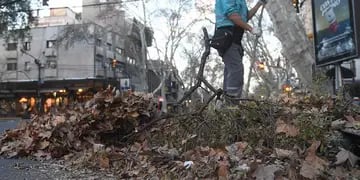 Viento Zonda. Después del viento zonda, Personal de limpieza juntan las hojas en las calles de Ciudad