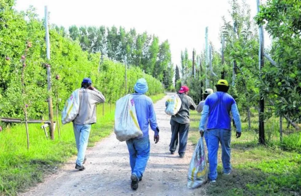 Trabajadores rurales Río Negro.