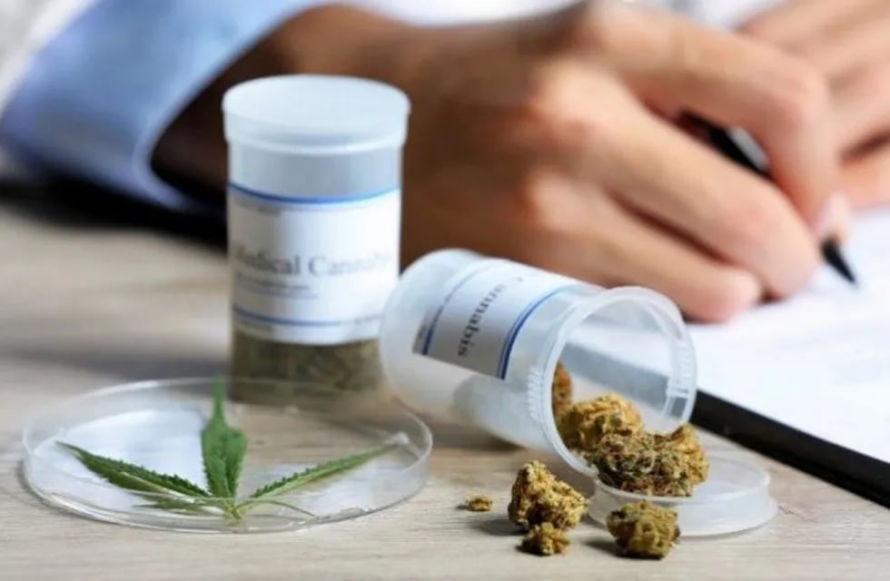 La fecha estipulada para que comience la producción de aceite de cannabis medicinal en San Juan es septiembre de 2021.
