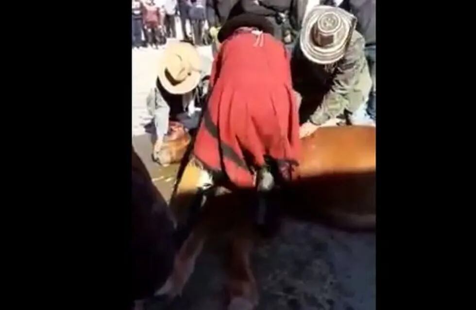 Muere un caballo durante un desfile