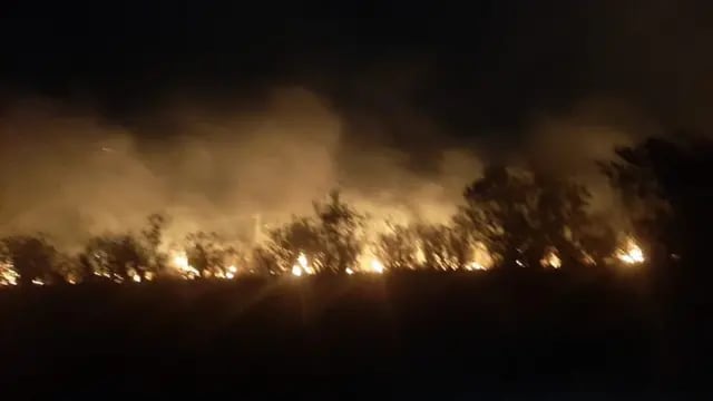 Se mantienen los focos de incendios forestales en la provincia de Misiones