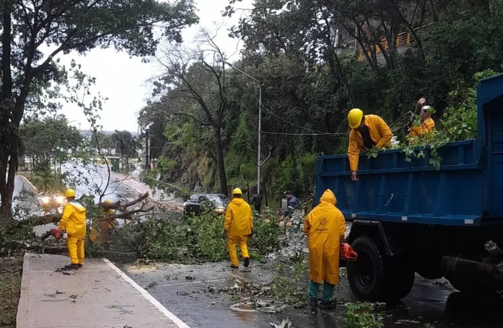 Misiones | La tormenta de Santa Rosa causó inundaciones de calles y casas, evacuación de familias, caída de árboles y una breve granizada