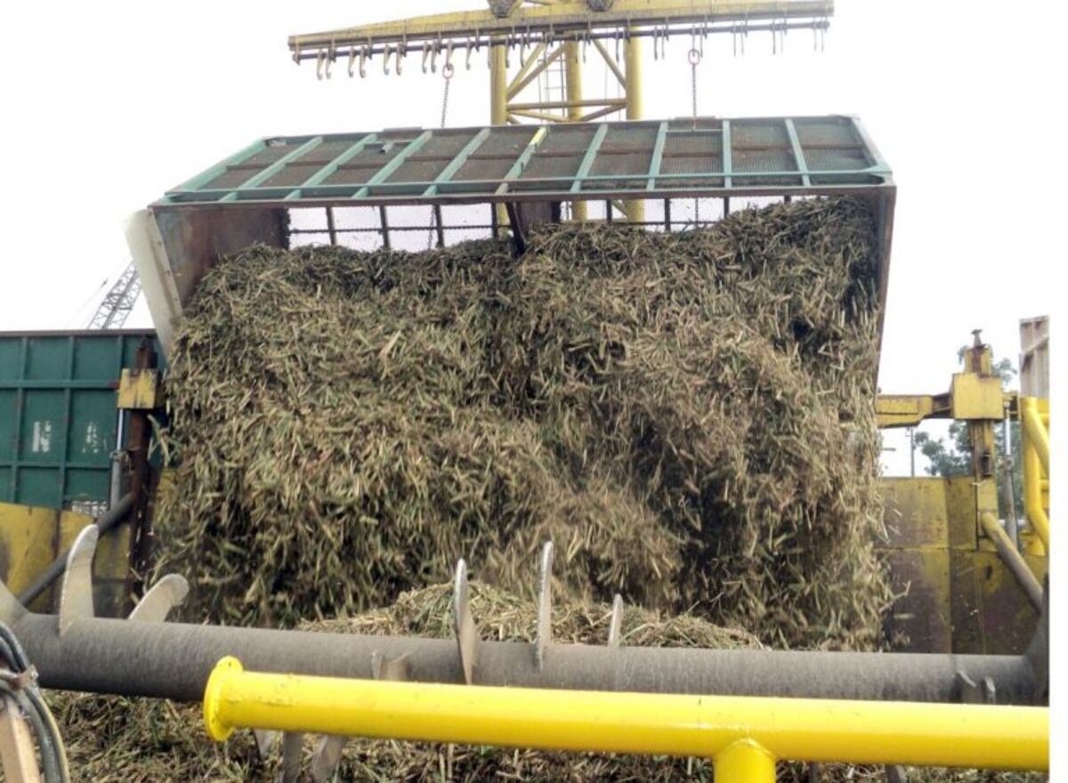 "Cultivando energía", un nuevo concepto en la producción cañera