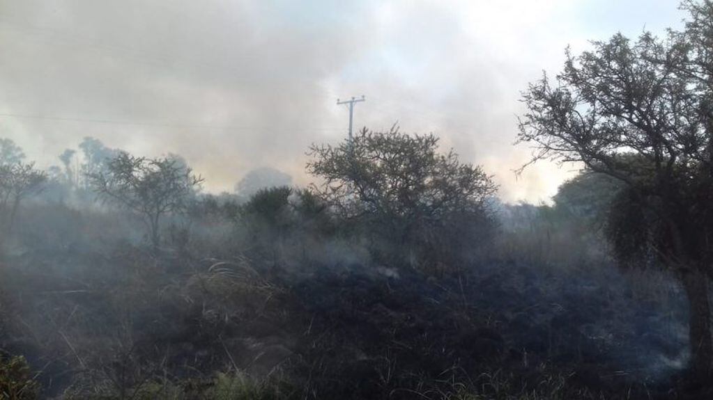 La Marianita: se incendiaron 5 hectáreas de monte nativo. Créditos: Bomberos Voluntarios de Alta Gracia.