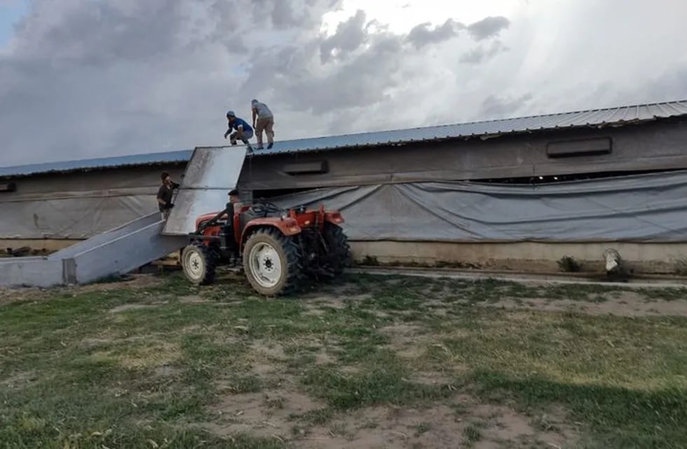 Un tornado provocó pérdidas millonarias en una granja en el interior de Córdoba.