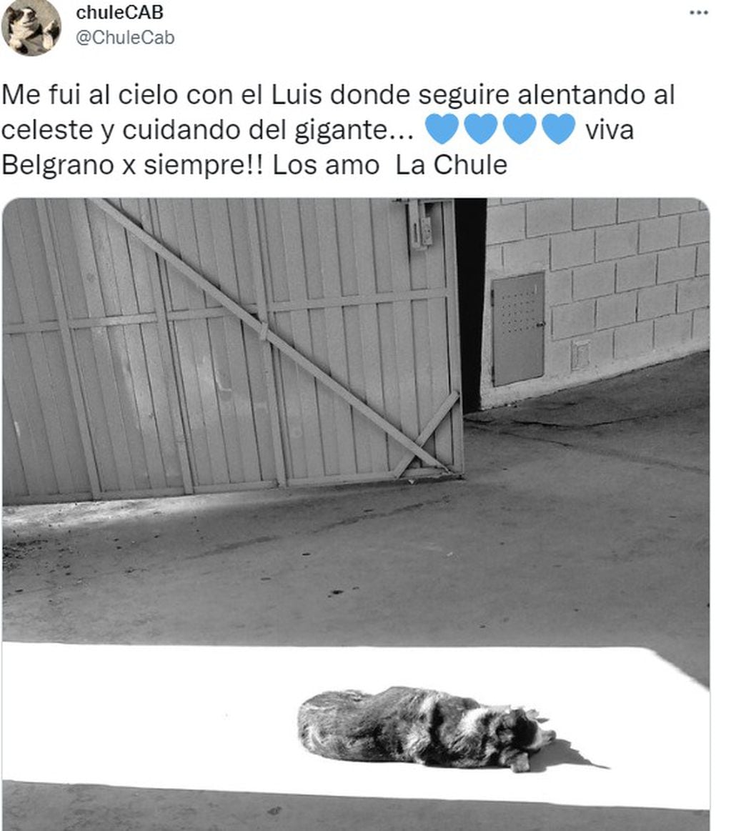 La cuenta en Twitter de Chule, la perrita preferida en Belgrano.