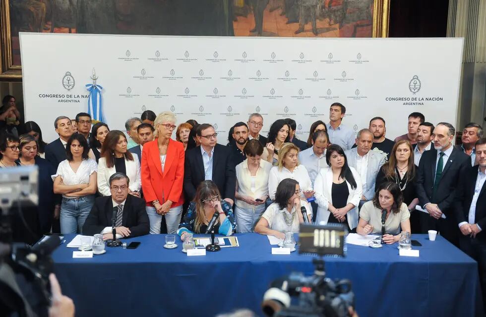 Los bloques legislativos del Frente de Todos anunciaron el pedido de audiencia con la Corte en conferencia de prensa (Foto: Federico López Claro)