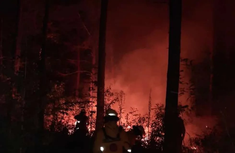 Más de una hectárea consumida por el fuego en un pinar de Picada 24.