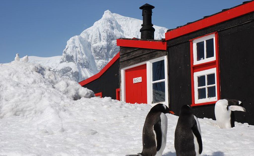 La particular oferta de empleo de una Fundación en la Antártida.