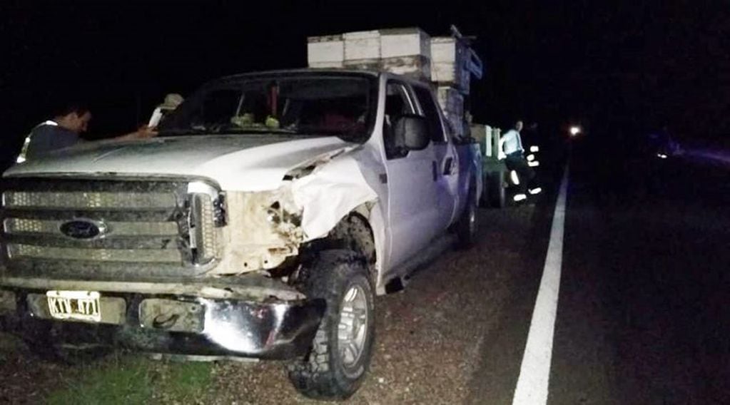 La camioneta recibió el impacto en el lateral izquierdo y provocó el vuelco del carro con las colmenas (Facebook)
