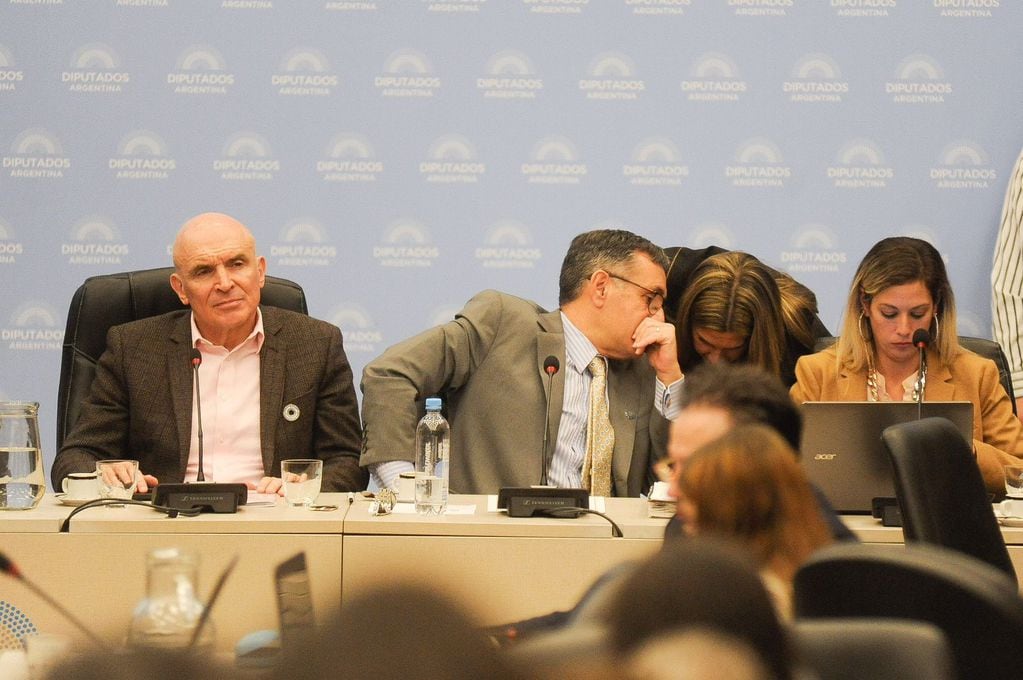 En el plenario de comisiones se firmaron cuatro dictámenes (Foto: Federico López Claro)