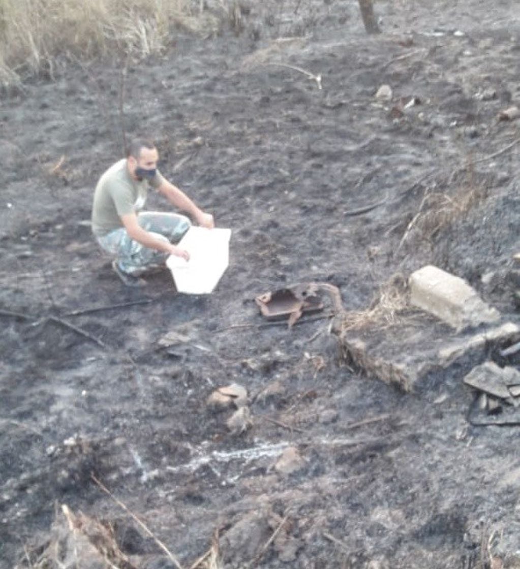 Rescatan a una boa curiyú herida por las quemas de pastizales en Chaco (DiarioNorte)