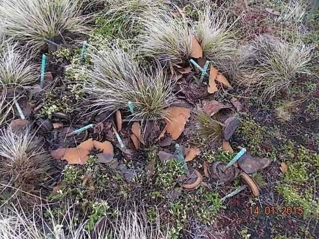 Restos de metralla y demás artefactos permanecen dispersos en las Islas, tal como muestran imágenes registradas en 2015 por excombatientes allegados al entrevistado.