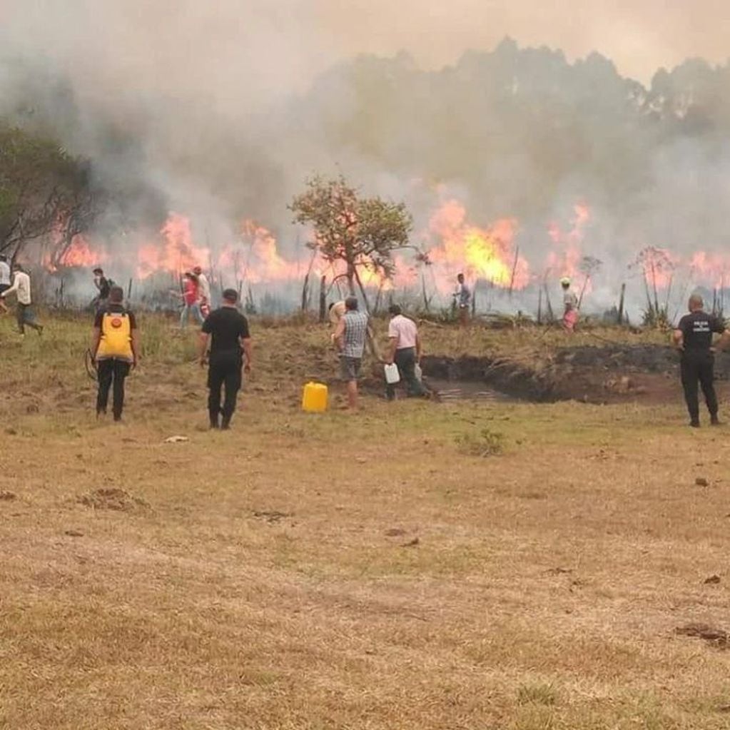 Ya son 600 hectáreas las consumidas por el fuego en Itacaruaré.
