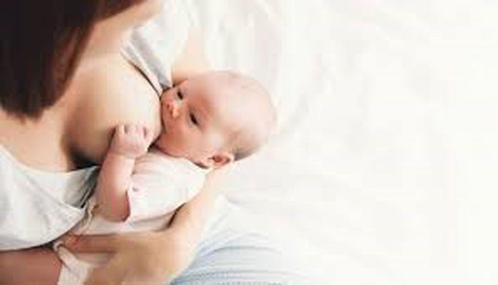 Semana Mundial de la Lactancia Materna (Web)