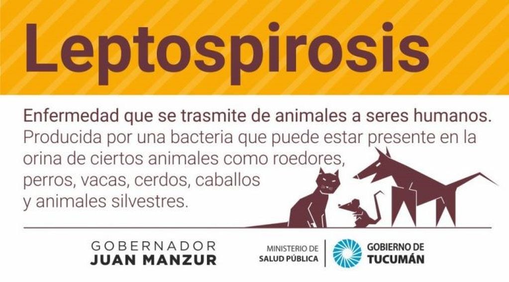 Prevención de Leptospirosis (Ministerio de Salud Pública de Tucumán)