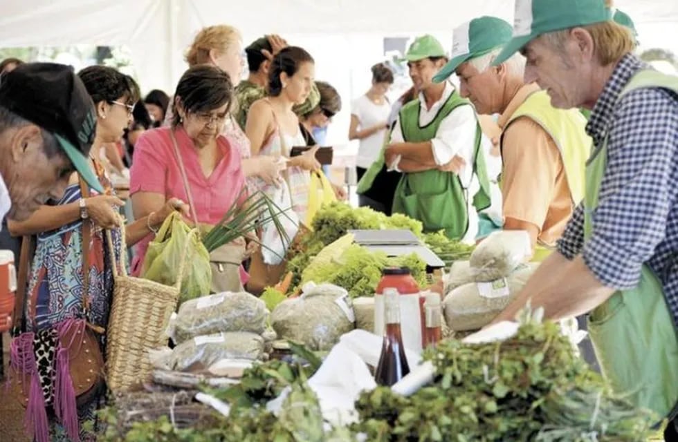 Venderán combos de frutas y verduras online para que agricultores no pierdan sus productos