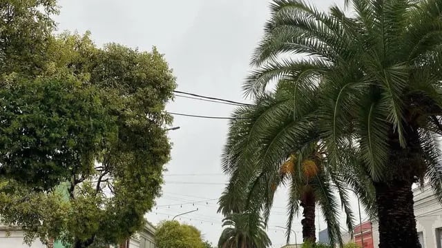La semana inició con malas condiciones climáticas en Gualeguaychú