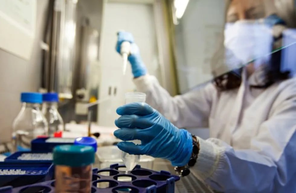 Científicos lograron eliminar el virus del VIH en ratones (Foto: Getty Images)