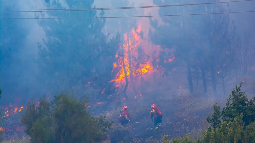 Los incendio forestales en el El Hoyo habrían sido intencionales.