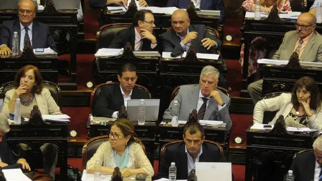 Los diputados del "centro" fueron decisivos en las votaciones (Federico López Claro/Archivo)