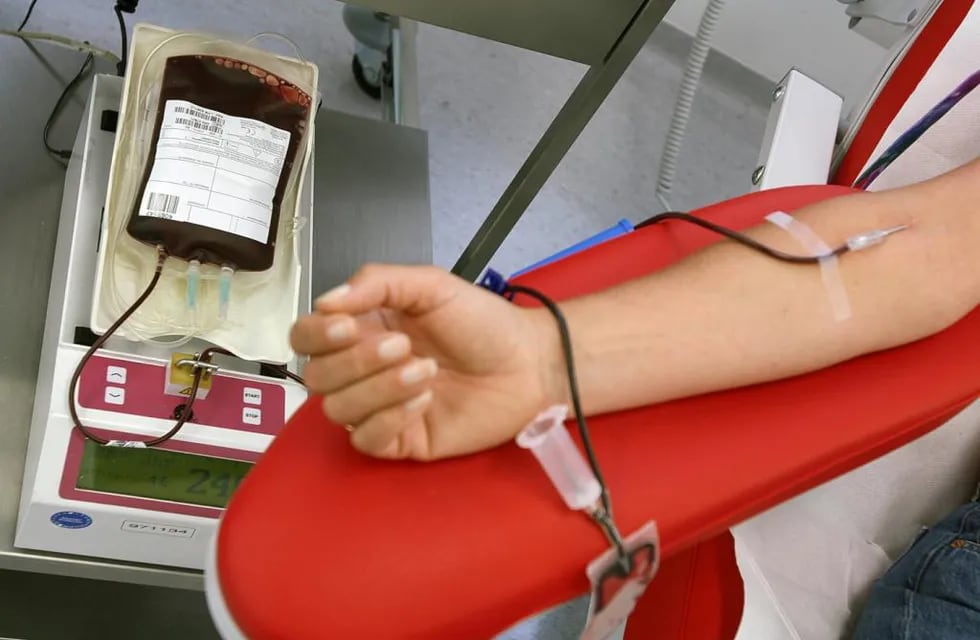 Donación de sangre (Imágen ilustrativa)