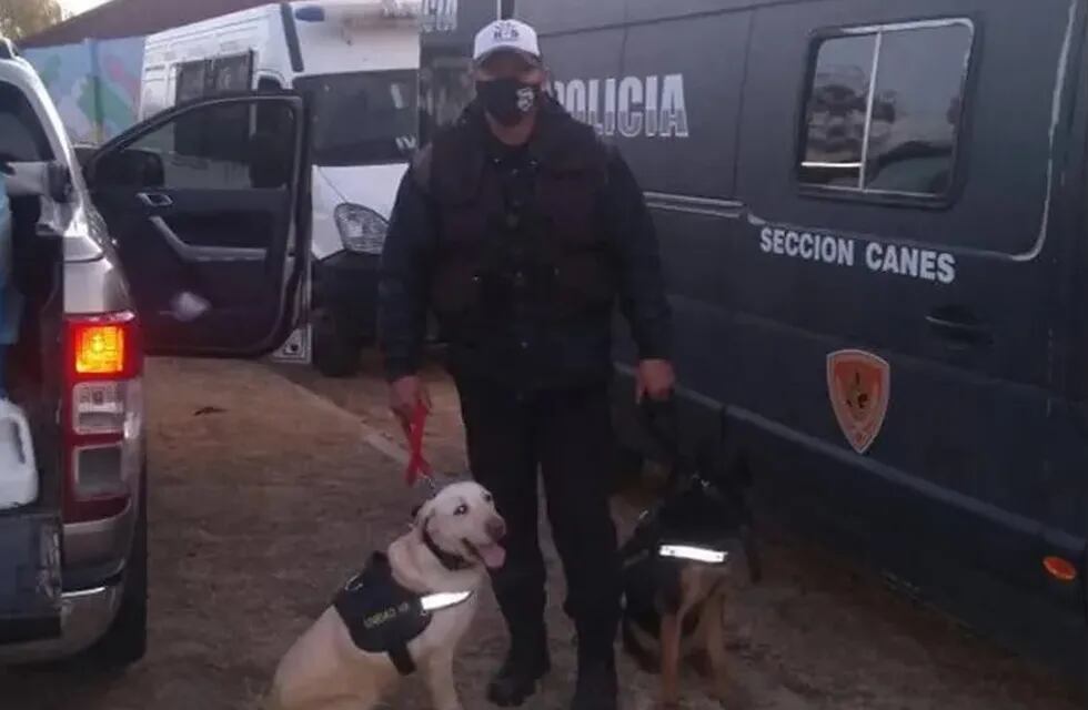 El sanjuanino Juan Maldonado, junto a Fiona y Loba las dos perras entrenadas en búsqueda de personas. Desde el martes participan de los rastrillajes en San Luis. Gentileza