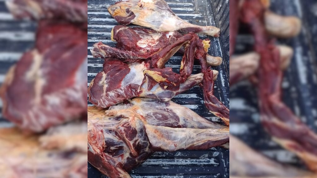 Detuvieron a dos hombres en Mendoza que llevaban carne de burro de forma ilegal