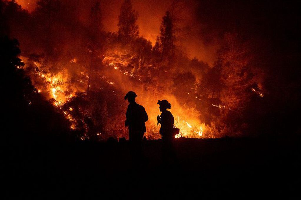 Bomberos luchan contra el fuego en California (crédito: AP/Noah Berger)
