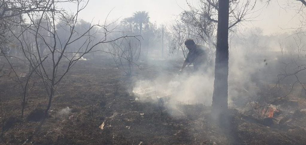 Incendio en un parque provincial en la localidad de San Cayetano.