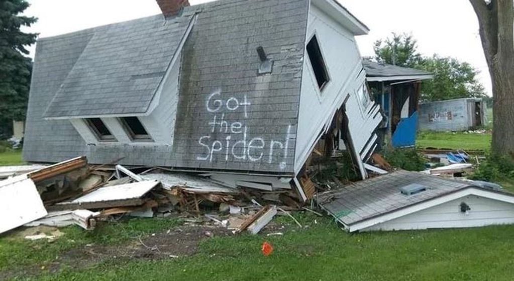 Finalmente, pasado un tiempo, Clarke avisó que habían sacado a la araña de su casa con éxito, aunque sin especificar cómo lo logró.