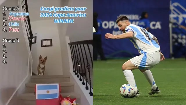 El perro viral que definió la Copa América 2024