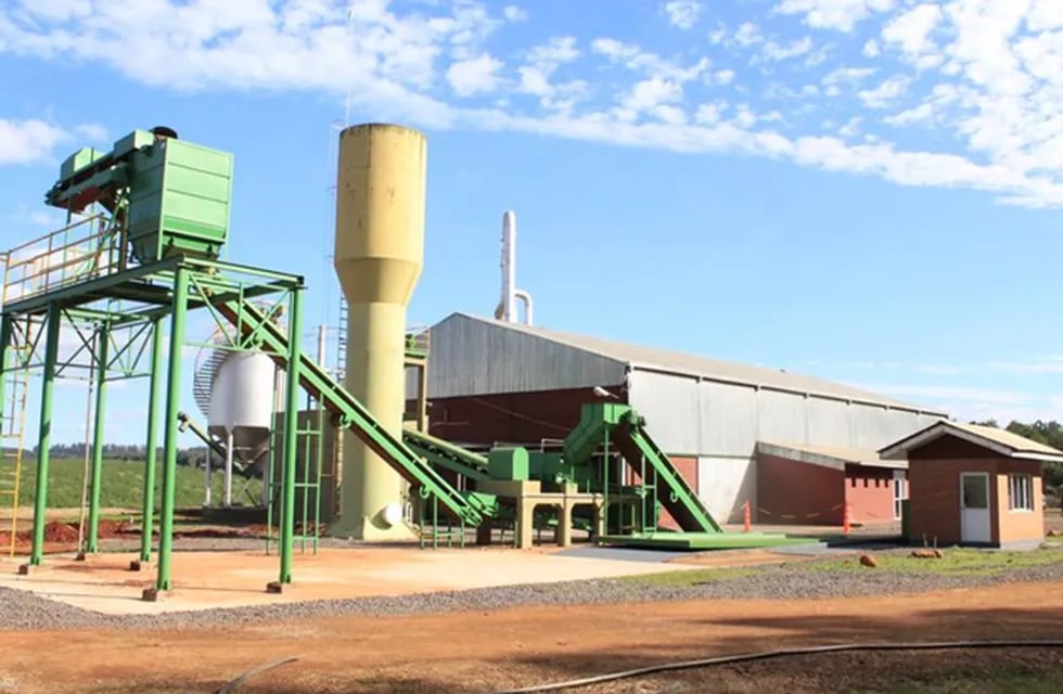 Continúa avanzando la producción de fécula de mandioca en la planta de Puerto Esperanza.
