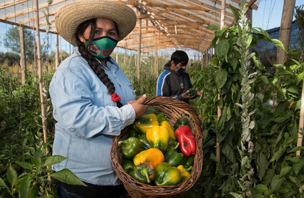 Inauguran un Almacén Campesino en Mendoza