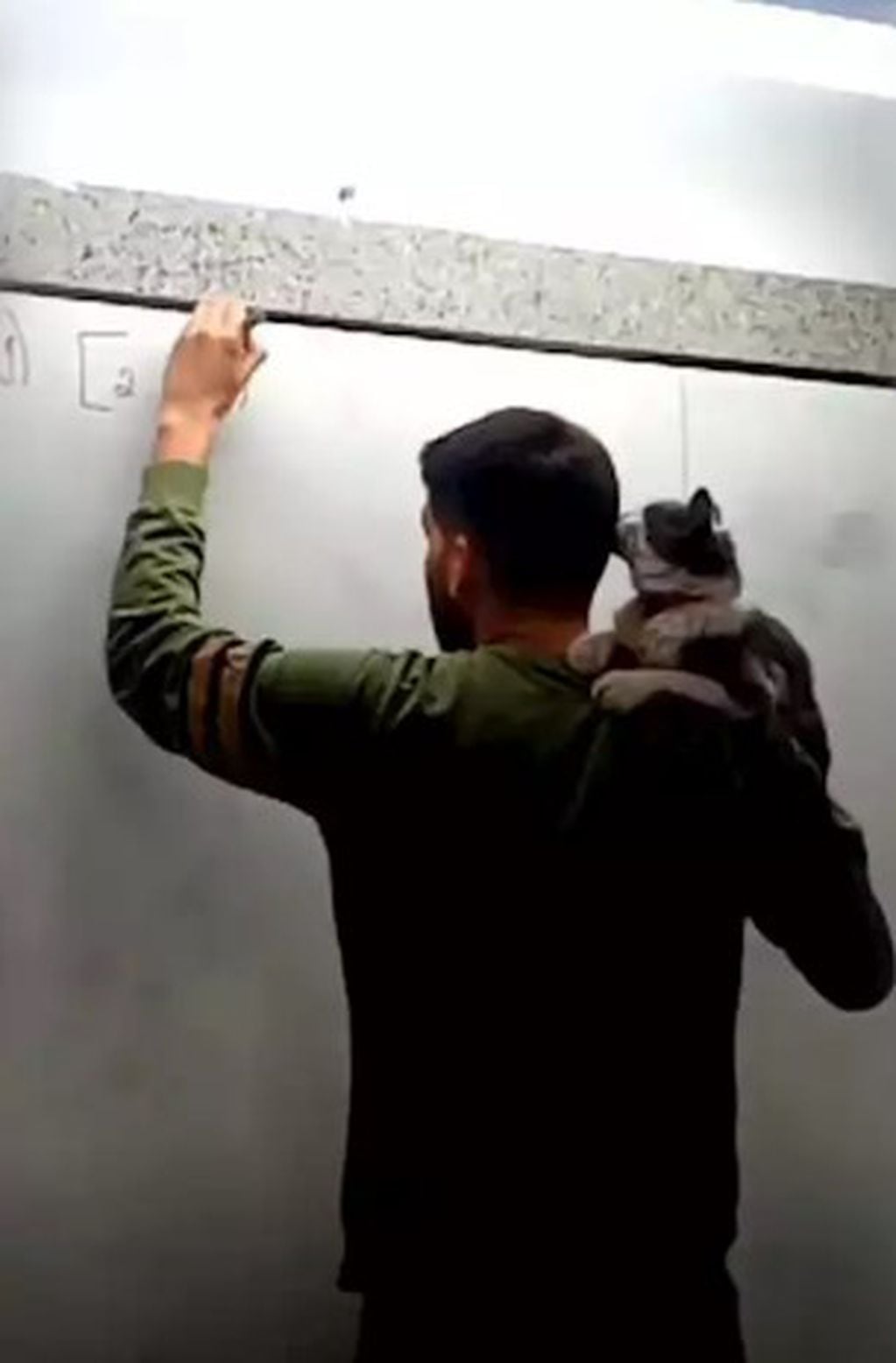 El profesor de Matemáticas que da clases con un gatito en sus hombros.