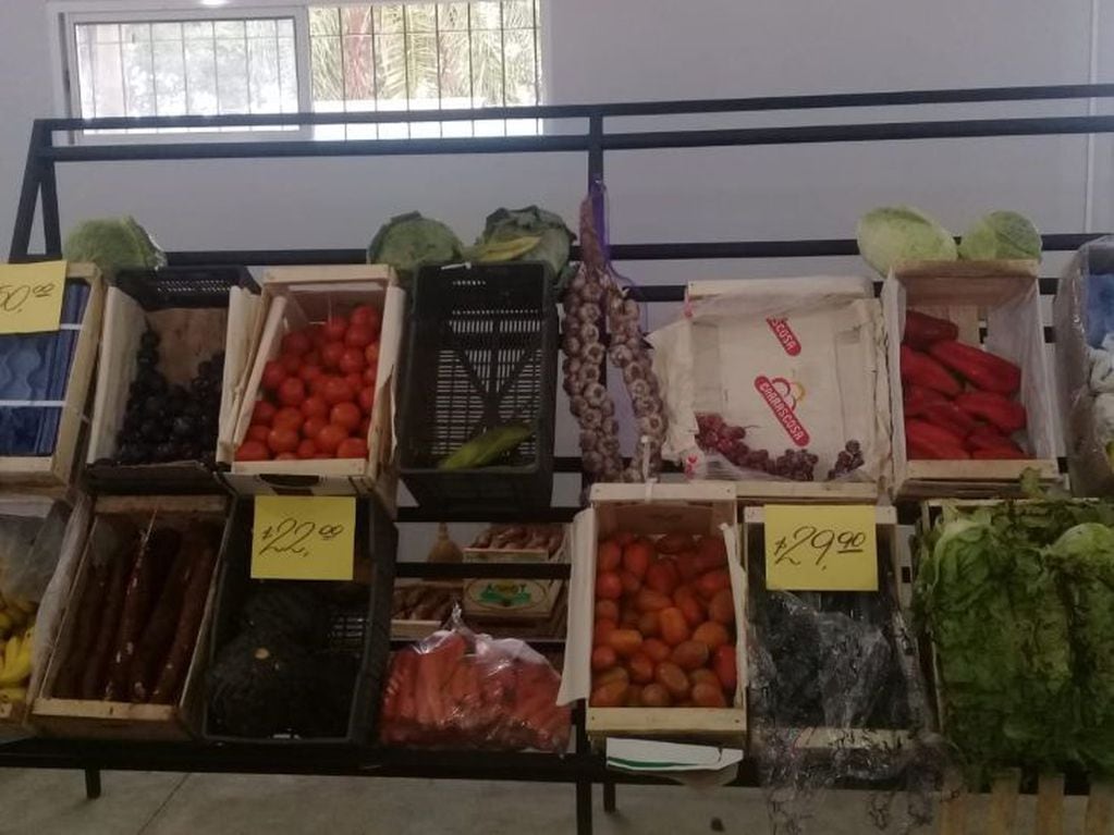 La papa, la cebolla, el tomate, el zapallo y el zapallito integran el podio de las verduras (MisionesOnline)
