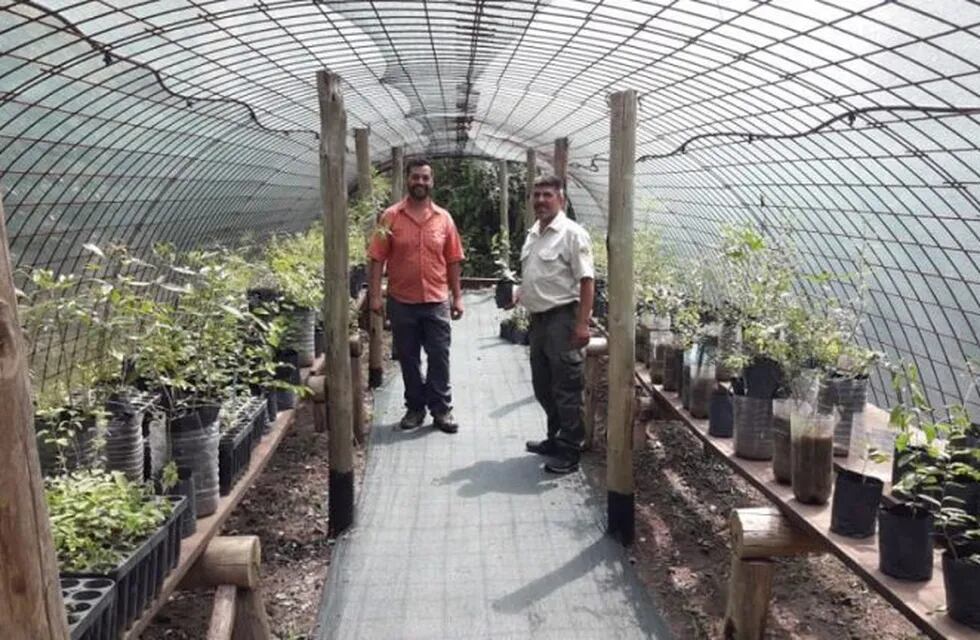 Germán Jaacks, donó 80 árboles nativos al vivero del Aula Ambiental.