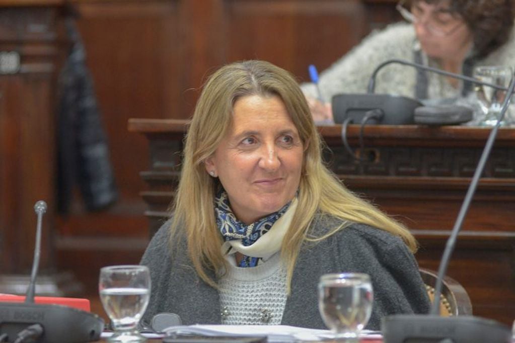 Claudia Najul, busca volver al Senado.