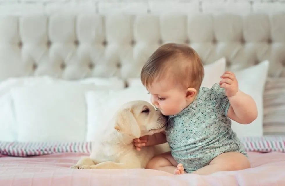 bebe y perro (Foto/Web)
