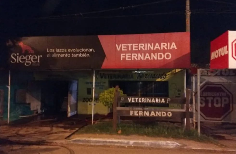 Voraz incendio en una veterinaria termina con gatitos siendo rescatados por bomberos. (Diario Chaco).
