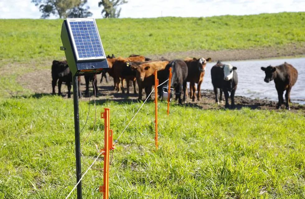 Más de 280 productores ganaderos de Mendoza se beneficiarán con boyeros con energía solar. Gentileza Gobierno de Mendoza