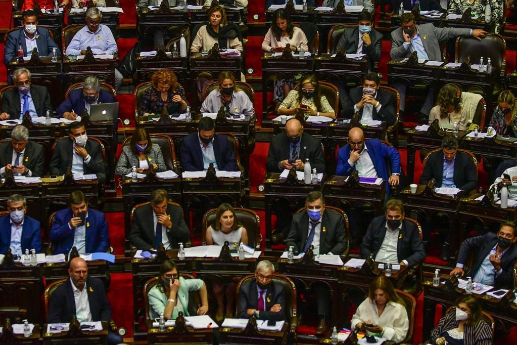 Sesión en la cámara de diputados por la ley de etiquetado frontal Foto Federico Lopez Claro