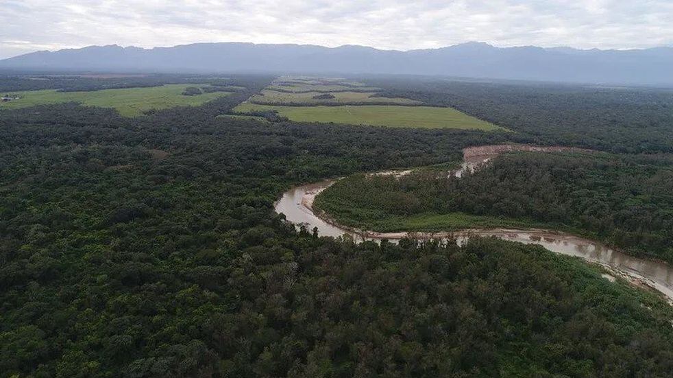 El río San Francisco sería declarado "paisaje protegido fluvial", en Jujuy. La iniciativa podría resultar referencia para "poner en valor los ríos" argentinos.