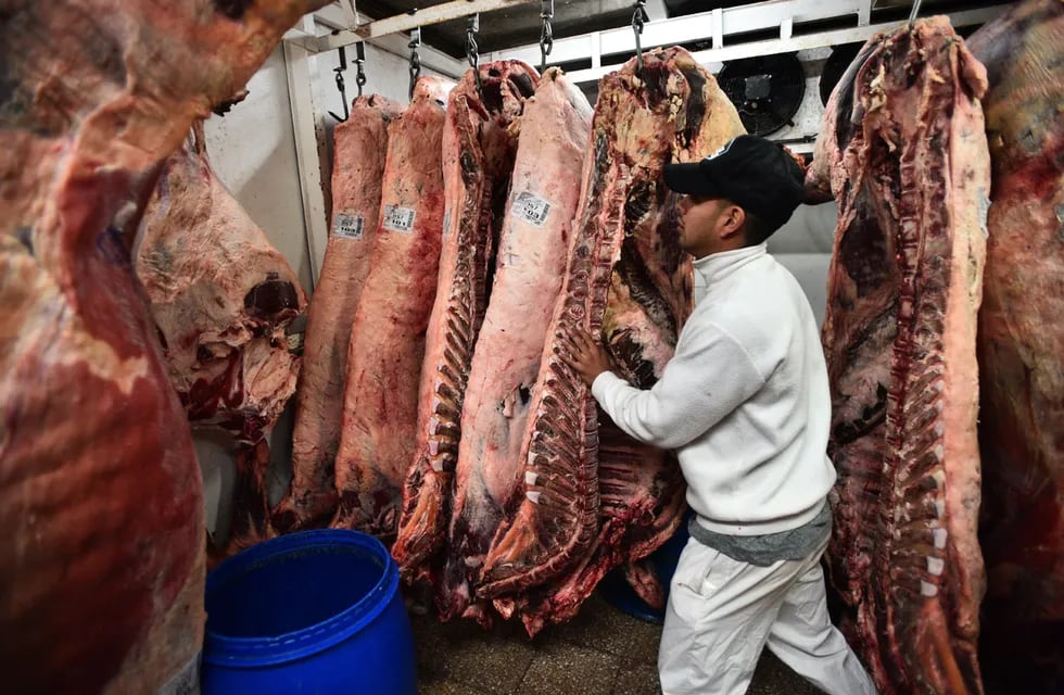 La exportación de carne se mantiene pero los precios están deprimidos. (Foto Pedro Castillo / La Voz).