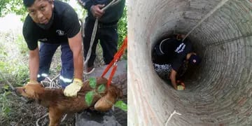 Bomberos salteños salvaron a un perro de un pozo